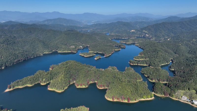 江西上犹：碧水嵌翠岛 红杉染画屏